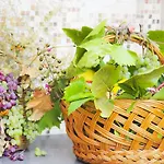 Casa De Ajala - De Charme In Antica Dimora Totalmente Ristrutturata E Dotata Di Tutti I Confort Bagni Privati Spazio Living Patio Esterno Ambienti Climatizzati Degustazioni Prodotti Locali Frühstückspension Làconi