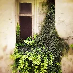 B&B Casa De Ajala - De Charme In Antica Dimora Totalmente Ristrutturata E Dotata Di Tutti I Confort Bagni Privati Spazio Living Patio Esterno Ambienti Climatizzati Degustazioni Prodotti Locali 4*