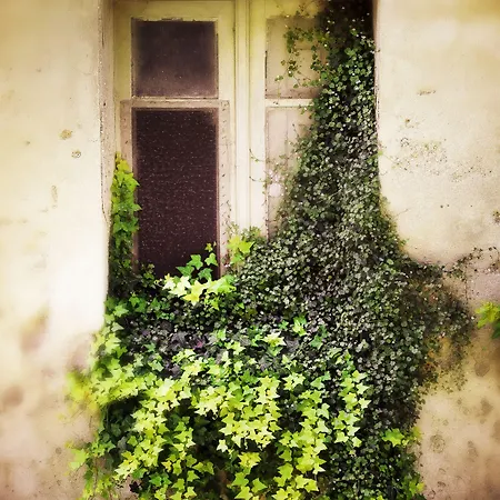 Bed & Breakfast Casa De Ajala - De Charme In Antica Dimora Totalmente Ristrutturata E Dotata Di Tutti I Confort Bagni Privati Spazio Living Patio Esterno Ambienti Climatizzati Degustazioni Prodotti Locali 4*